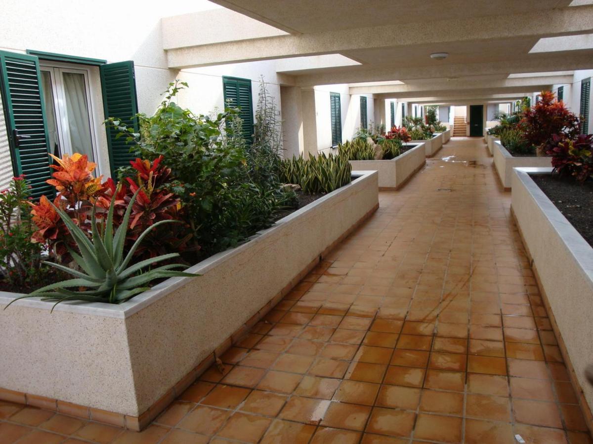 Apartamento Con Jardin Y Piscina En El Balancon Apartment El Medano  Luaran gambar