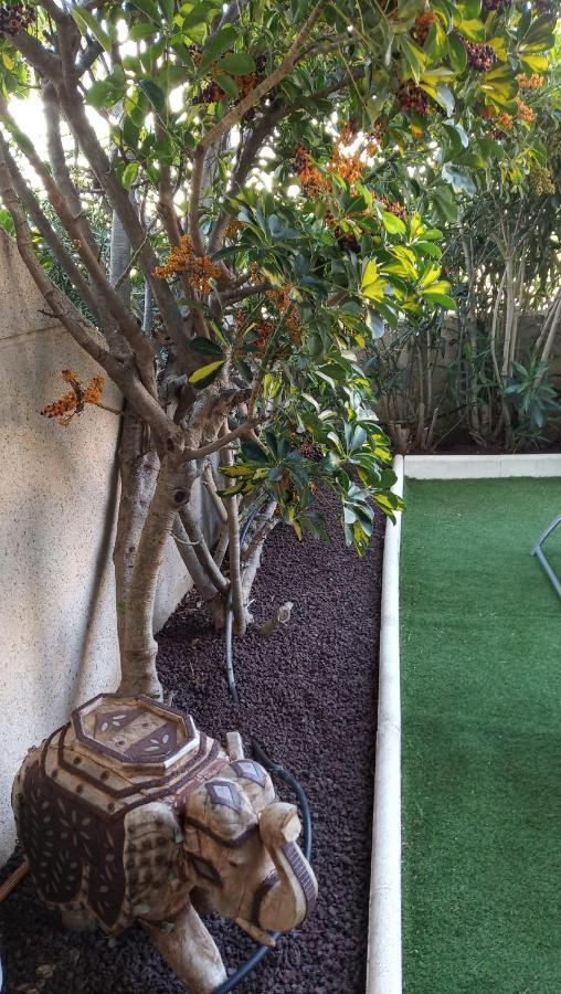 Apartamento Con Jardin Y Piscina En El Balancon Apartment El Medano  Luaran gambar